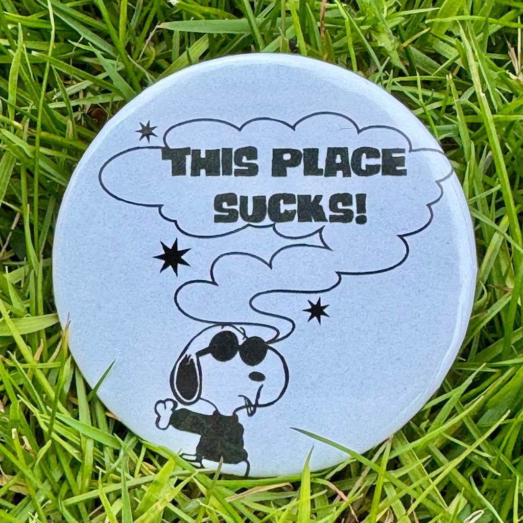 this place sucks! snoopy pin