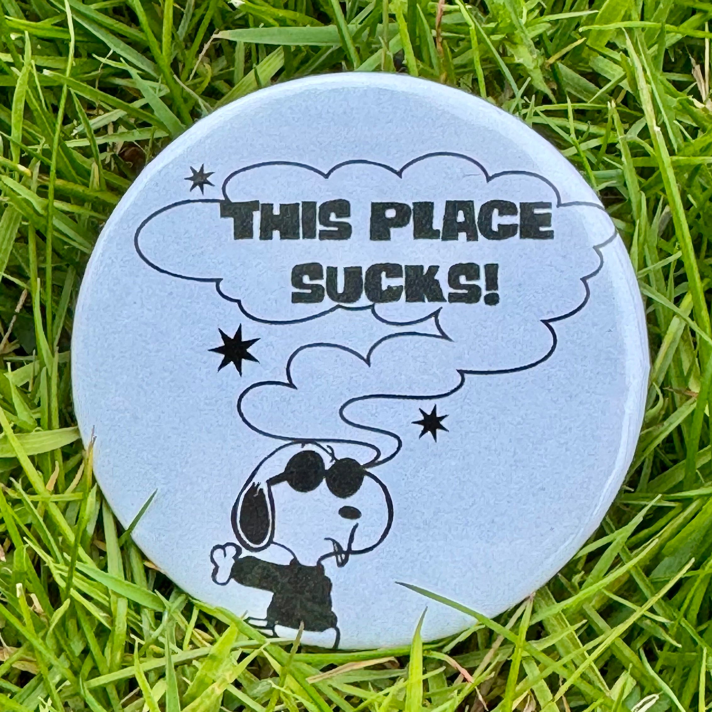 this place sucks! snoopy pin